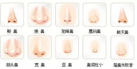 鼻子好不好看?决定了你的颜值高或低,你信吗