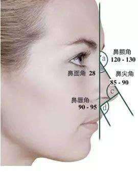 做隆鼻前先了解自己的鼻子构造,避免失败